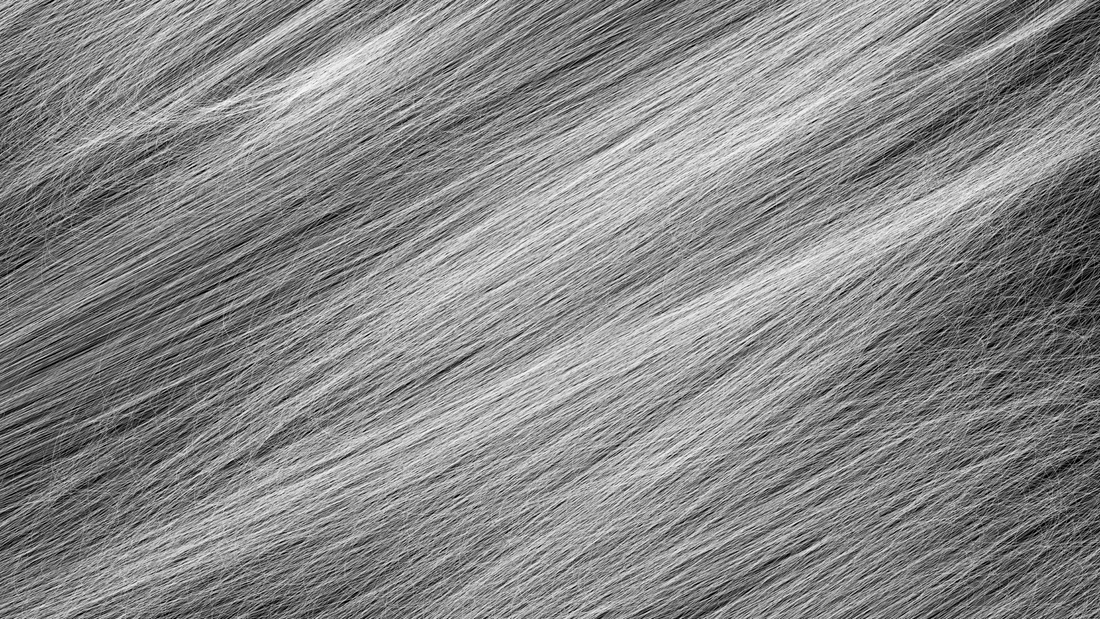 Embracing Grey Hair in a World Full of Misconceptions